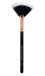 Fan Makeup Brush Offer